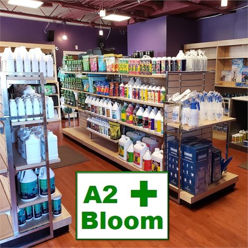 Phase 2 - Business Liquidation - A2 + Bloom of Ann Arbor, MI