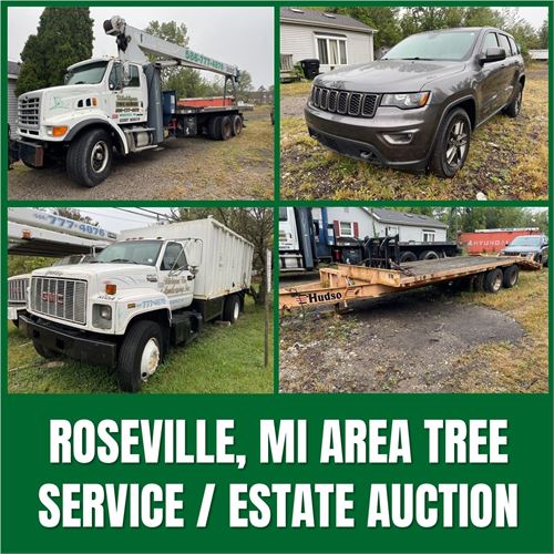 Surplus Assets - Roseville, MI Area Tree Service